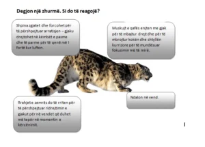 Stresi dhe menaxhimi i tij 2 stresi dhe menaxhimi