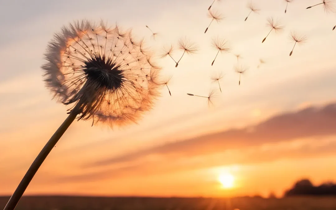 Jo çdo ndjenjë ka nevojë për kuptim