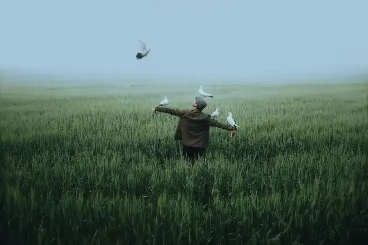 Jeta ka 5 rregulla (sipas Carl jung)